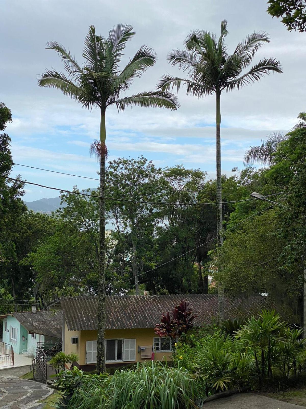 Recanto Floripa Residencial Florianopolis Ngoại thất bức ảnh